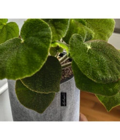 LECHUZA® TRENDCOVER Felt, All-in-One Set -Biohort || LECHUZA Verkaufsgeschäft 6946941 6947121 WE MO 002 TrendcoverFelthellgrau