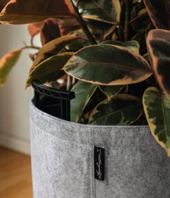 LECHUZA® TRENDCOVER Felt, All-in-One Set -Biohort || LECHUZA Verkaufsgeschäft 6947121 6946933 WE MO 001 TrendcoverFeltDunkelgrau