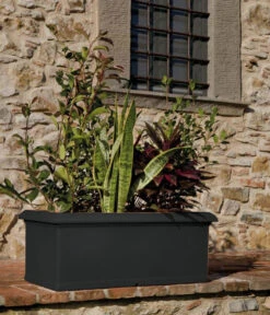 Farmet New Kunststoff-Kasten, Rechteckig, Inkl. Untersetzer -Biohort || LECHUZA Verkaufsgeschäft 6964936 WE MO 001 FarmetNewKunststoffKastenrechteckig