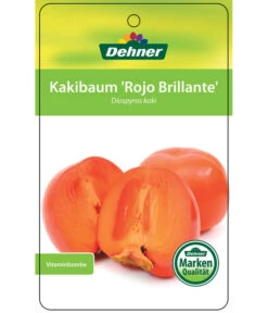 Dehner Kaki 'Rojo Brillante' - Kaki-Pflaume 'Rojo Brillante' -Biohort || LECHUZA Verkaufsgeschäft 7167414 KakiRojoBrillante Etikett 01