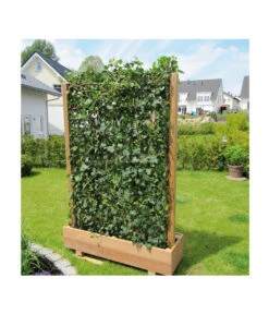 Hecke Am Laufenden Meter® 'Woerneri' - Efeu, Ca. 100 Cm -Biohort || LECHUZA Verkaufsgeschäft 7208309 BildM 004 HedereHelixWoerneriHeckeAmLaufendenMeterHelix