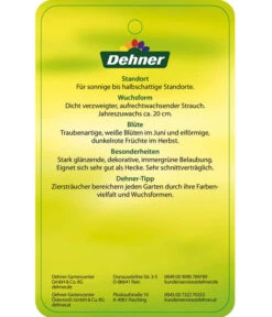 Portugiesischer Kirschlorbeer 'Angustifolia' -Biohort || LECHUZA Verkaufsgeschäft 7362833 PortugiesischerKirschlorbeerAngustifolia Etikett 2