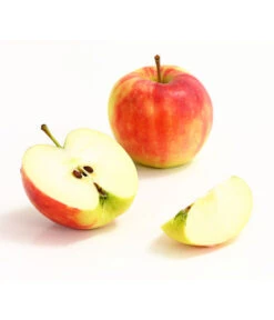 Herbstapfel 'Elstar' 9 Herbstapfel 'Elstar' -Biohort || LECHUZA Verkaufsgeschäft 7369164 WE DE 006 ApfelElstarDehnerExpressHerzig