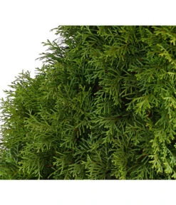 10 Meter Lebensbaum 'Smaragd', 20 X Ca. 125-150 Cm 11 10 Meter Lebensbaum 'Smaragd', 20 X Ca. 125-150 Cm -Biohort || LECHUZA Verkaufsgeschäft 7513534 WE DE 001 ThujaLebensbaumOccidentalisSmaragd20LDehnerExpressHerzig 1