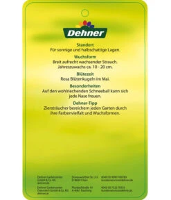 Duft-Schneeball 'Aurora' -Biohort || LECHUZA Verkaufsgeschäft 7534274 DuftschneeballAurora Etikett 02