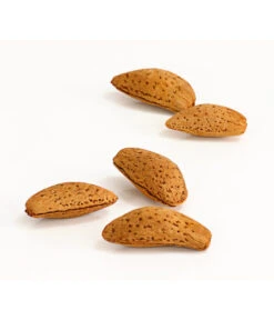 Mandelbaum -Biohort || LECHUZA Verkaufsgeschäft 7603889 WE DE 002 MandelPalatinaPrunusDulcisDehnerExpressHerzig