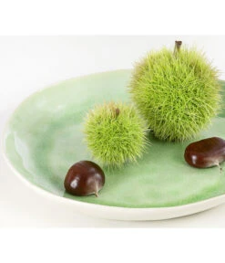 Esskastanie 'Bouche De Betizac' -Biohort || LECHUZA Verkaufsgeschäft 7621998 PR DE 002 CastaneaSativaBetizacEsskastanieDehnerExpressHerzig