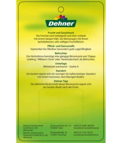 Herbstbirne 'Conference' -Biohort || LECHUZA Verkaufsgeschäft 7625908 HerbstbirneConference Etikett 2