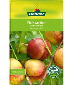 Nektarine 'Crimson Gold' -Biohort || LECHUZA Verkaufsgeschäft 7626005 NektarineCrimsonGold Etikett 1