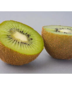 Dehner Kiwi 'Hayward', Weiblich -Biohort || LECHUZA Verkaufsgeschäft 7664394 WE DE 003 KiwiHaywardPixabay