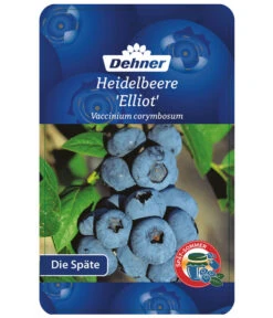 Heidelbeere 'Elliot' -Biohort || LECHUZA Verkaufsgeschäft 7665227 HeidelbeereElliot Etikett 1