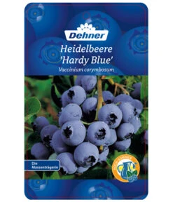 Heidelbeere 'Hardyblue' -Biohort || LECHUZA Verkaufsgeschäft 7665490 HeidelbeereHardyblue Etikett 1