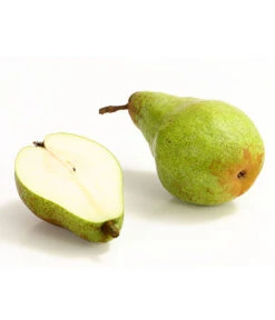 Winterbirne 'Novembra' -Biohort || LECHUZA Verkaufsgeschäft 7723695 WE DE 004 BirneNovemberDehnerExpressHerzig