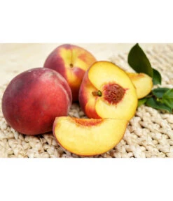 Gelbfleischiger Pfirsich -Biohort || LECHUZA Verkaufsgeschäft 7728843 PR FS 001 GelbfleischigerPfirsichPixabay