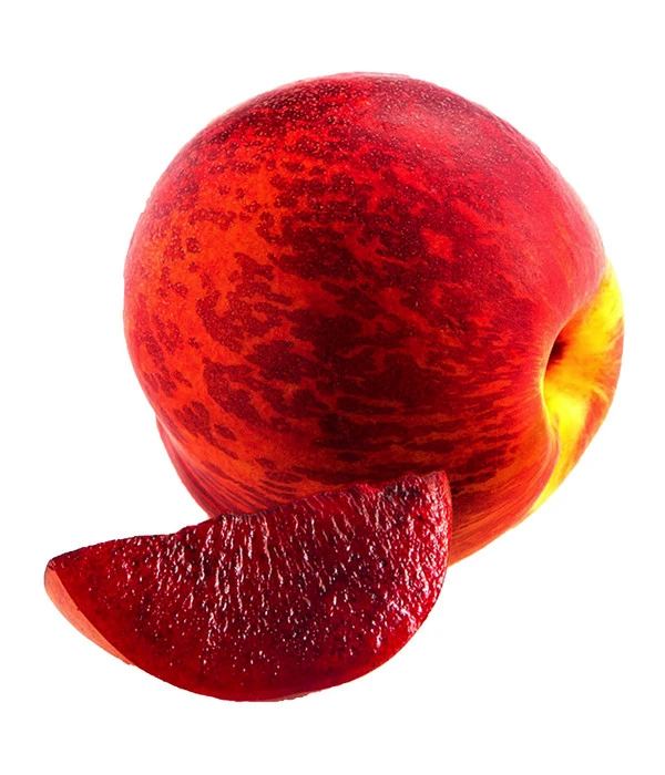 Blutnektarine 4 Blutnektarine – Bild 2