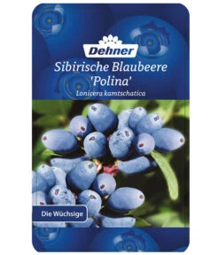 Maibeere -Biohort || LECHUZA Verkaufsgeschäft 7756448 SibirischeBlaubeerePolina Etikett 1