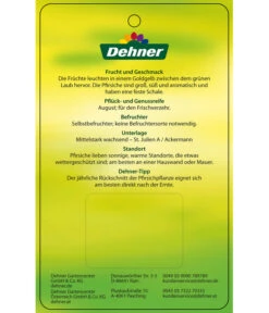 Pfirsich 'Suncrest' -Biohort || LECHUZA Verkaufsgeschäft 7760754 GelbfleischigerPfirsichSuncrest Etikett 2