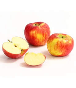 Herbstapfel 'Topaz' -Biohort || LECHUZA Verkaufsgeschäft 7763931 WE DE 008 ApfelTopazDehnerExpressHerzig