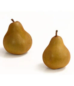 Winterbirne 'Uta' -Biohort || LECHUZA Verkaufsgeschäft 7769854 WE DE 003 BirneUtaDehnerExpressHerzig