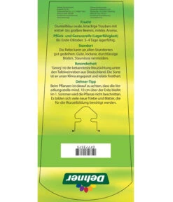 Tafeltraube 'Georg' -Biohort || LECHUZA Verkaufsgeschäft 7773575 TafeltraubeGeorg Etikett 2