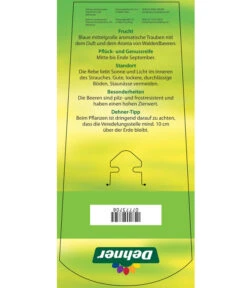 Tafeltraube 'Erdbeertraube' -Biohort || LECHUZA Verkaufsgeschäft 7773708 TafeltraubeErdbeertraube Etkett 2