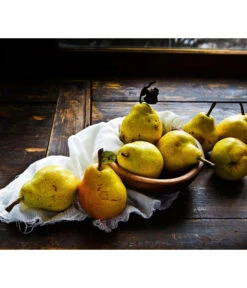 Sommerbirne 'Williams Christ' -Biohort || LECHUZA Verkaufsgeschäft 7780539 WE MO 001 PyrusBirneWilliamsChrist