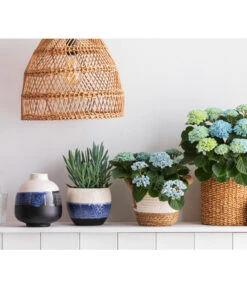 Dehner Seegras-Korb Ida, Rund -Biohort || LECHUZA Verkaufsgeschäft 8203994 668948 6689855 WE MO 001 HortensieMagicalTopfMaritim