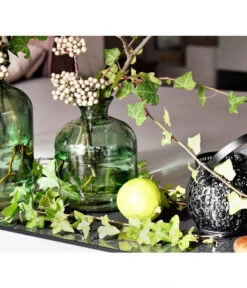 Efeu - Hedera Helix, Grünlaubig -Biohort || LECHUZA Verkaufsgeschäft 8224255 8224248 MO EfeuGruenPixabay