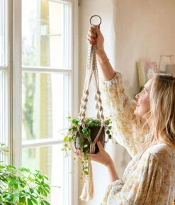 Peperomie - Peperomia 'Pepperspot' 8 Peperomie - Peperomia 'Pepperspot' -Biohort || LECHUZA Verkaufsgeschäft 8252173 WE MO 001 PeperomiePepperspotMakrameeAmpel