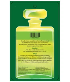 Duft-Orchidee - Phalaenopsis-Hybride 'Flacon Solaire' 13 Duft-Orchidee - Phalaenopsis-Hybride 'Flacon Solaire' -Biohort || LECHUZA Verkaufsgeschäft 8257909 Etikett2 PhalaenopsisFlaconSolaire 02072018