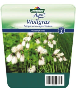 Schmalblättriges Wollgras -Biohort || LECHUZA Verkaufsgeschäft 8311383 Wollgras Etikett 1