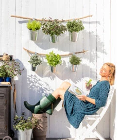 Dehner Gourmet Garten Strauchbasilikum 'Magic Blue' -Biohort || LECHUZA Verkaufsgeschäft 8610123 WE MO 001 Oregano Kraeuter