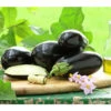 Dehner Gourmet Garten Aubergine, Veredelt -Biohort || LECHUZA Verkaufsgeschäft 8830051 PR MO 001 GG AUBERGINE CARMEN