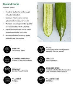 Bioland Gurke, Veredelt -Biohort || LECHUZA Verkaufsgeschäft 8830853 WE IG 001 BiolandGurke