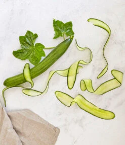 Bioland Gurke, Veredelt -Biohort || LECHUZA Verkaufsgeschäft 8830853 WE MO 001 SchlangengurkeveredeltRenner