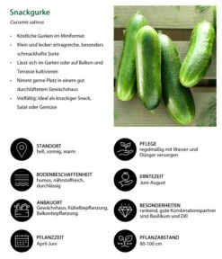 Snackgurke -Biohort || LECHUZA Verkaufsgeschäft 8830960 WE IG 001 Snackgurke