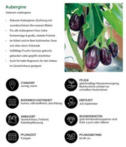 Aubergine -Biohort || LECHUZA Verkaufsgeschäft 8831380 WE IG 001 Aubergine