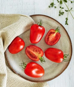 Bioland Eiertomate -Biohort || LECHUZA Verkaufsgeschäft 8831463 WE MO 001 BiolandEiertomate