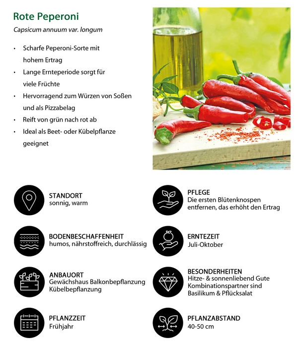 Rote Peperoni, Scharf 8 Rote Peperoni, Scharf – Bild 6