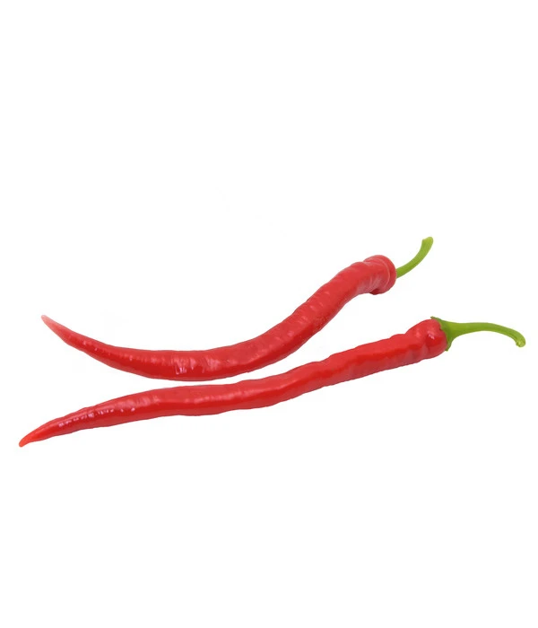 Milde Peperoni 5 Milde Peperoni – Bild 3