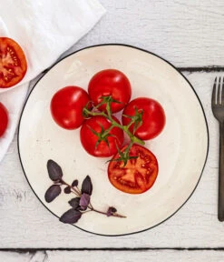 Bioland Buschtomate 7 Bioland Buschtomate -Biohort || LECHUZA Verkaufsgeschäft 8831968 WE MO 001 BiolandBuschtomate