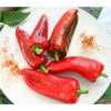 Spitzpaprika, Rot -Biohort || LECHUZA Verkaufsgeschäft 8833501 PR MO 001 PAPRIKA BULLHORN ROT