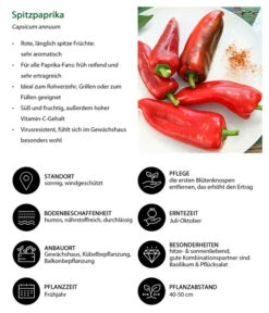 Spitzpaprika, Rot -Biohort || LECHUZA Verkaufsgeschäft 8833501 WE IG 001 Spitzpaprika