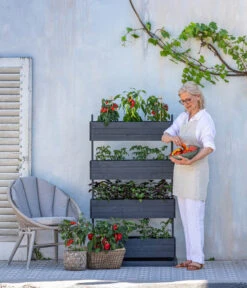 Pick-a-Tom® Cocktailtomate Mit Früchten, Rot -Biohort || LECHUZA Verkaufsgeschäft 8838757 WE MO 001 HechtHochbeetCube4PickaTom