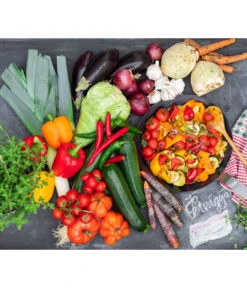 Peperoni 'Hyper' -Biohort || LECHUZA Verkaufsgeschäft 8839235 8835605 8835472 8611063 8839243 8836918 WE MO 001 Pustagemuese GC04 2022 02