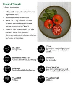 Bioland Tomate, Rundfruchtig -Biohort || LECHUZA Verkaufsgeschäft 8842619 WE IG 001 BiolandTomate