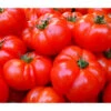 Bioland Fleischtomate -Biohort || LECHUZA Verkaufsgeschäft 8842627 WE DE 001 BiolandFleischtomate