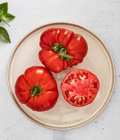 Bioland Fleischtomate -Biohort || LECHUZA Verkaufsgeschäft 8842627 WE MO 001 BiolandFleischtomate