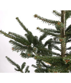 Nordmann-Tanne, Ca. 200-250 Cm, Gesägt -Biohort || LECHUZA Verkaufsgeschäft 8995748 WE DE 001 AbiesNordmannianaNordmanntanne200 250GesaegtDehnerExpressHerzig