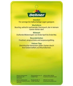 Edelflieder 'Sensation' -Biohort || LECHUZA Verkaufsgeschäft EdelFliederSensation Etikett 2